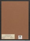 Synedra ? toxoneides Castrac. (de-Toni-Nr.: Genus 66, Species 2602) Zeichnungen Sammlung Grunow Mappe 02821 (Herbarium_W_Grunow_drawings_Folder_02821)